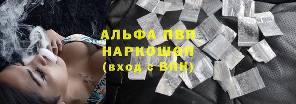 стаф Беломорск